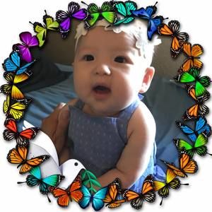 Meet your Posher, Dorcus